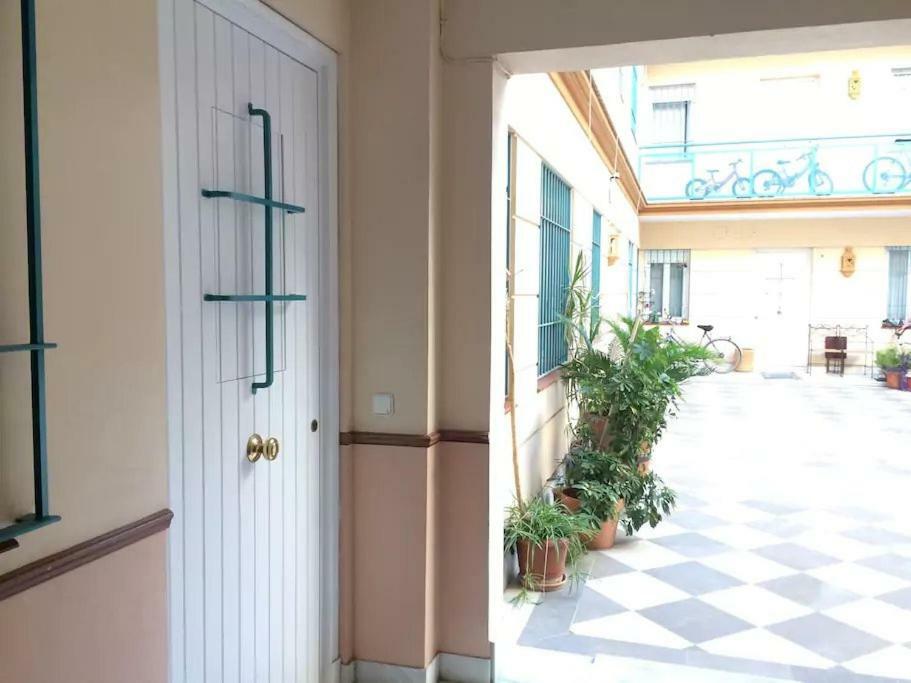 Magnífico Apartamento En El Centro De